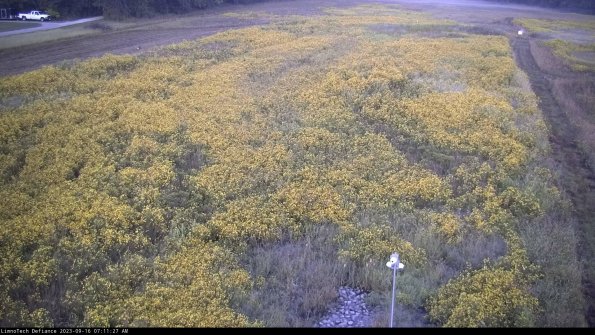 Cell 1_23-09-16_07-11-27-72