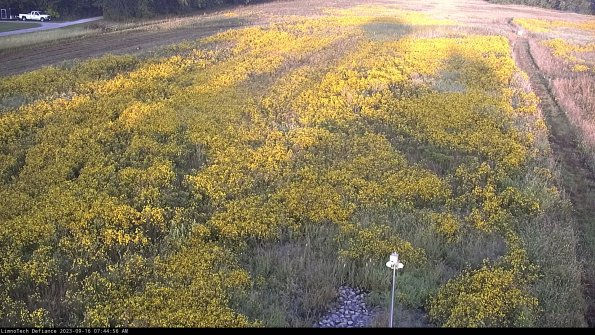 Cell 1_23-09-16_07-44-56-70