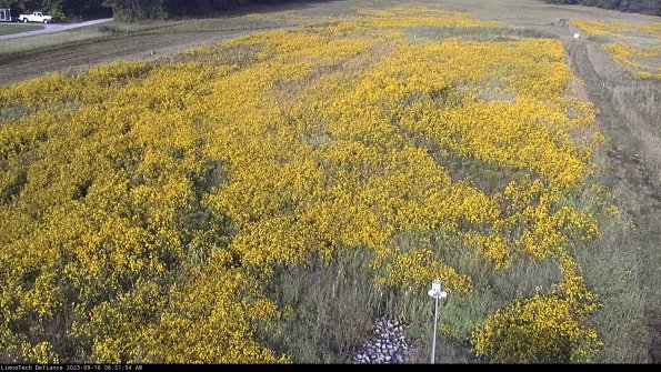 Cell 1_23-09-16_08-51-54-74