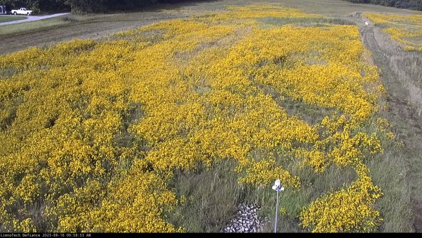 Cell 1_23-09-16_09-58-53-71