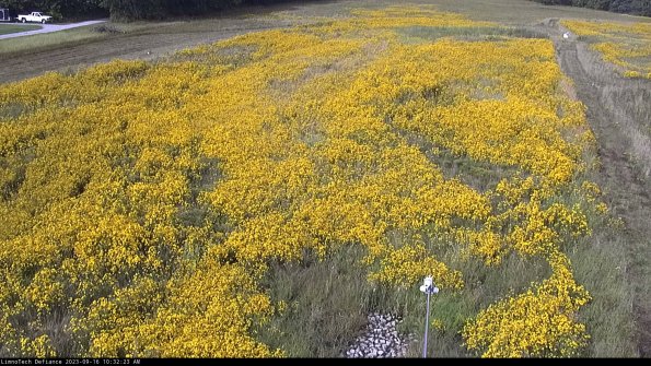 Cell 1_23-09-16_10-32-23-70