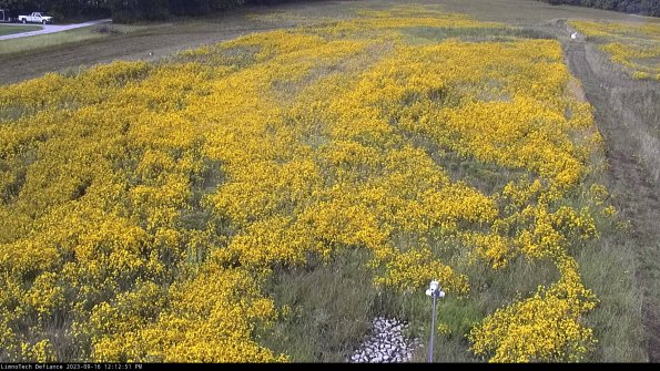 Cell 1_23-09-16_12-12-51-72