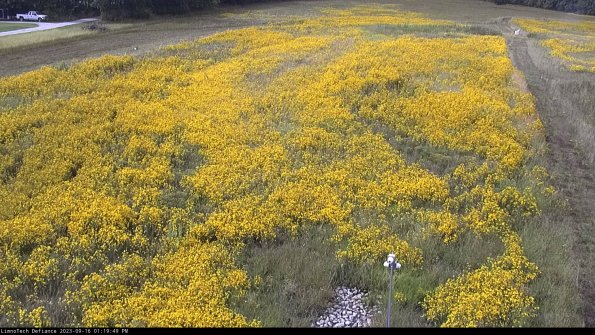 Cell 1_23-09-16_13-19-49-73