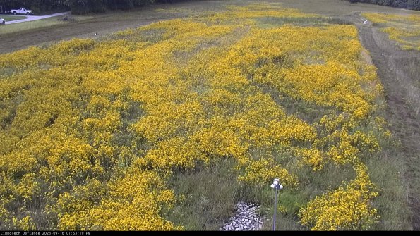 Cell 1_23-09-16_13-53-19-72