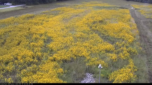 Cell 1_23-09-16_14-26-49-70