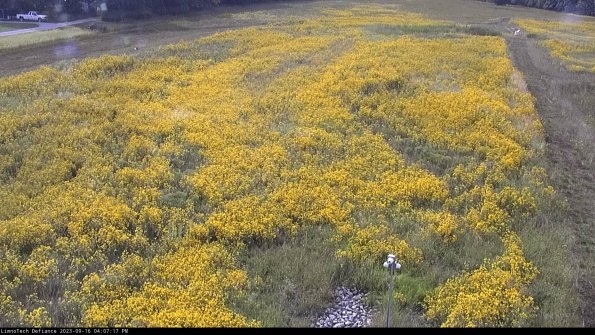 Cell 1_23-09-16_16-07-17-73