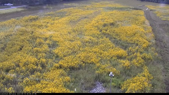 Cell 1_23-09-16_16-40-47-72