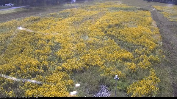 Cell 1_23-09-16_17-14-17-70