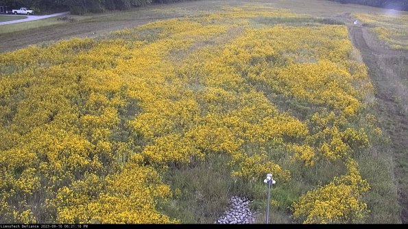 Cell 1_23-09-16_18-21-16-71