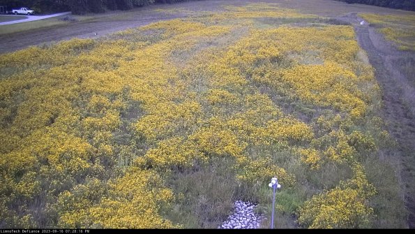 Cell 1_23-09-16_19-28-16-75