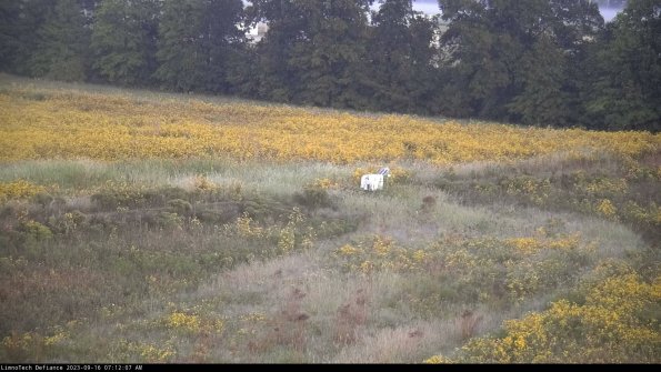 Cell 2 to 3_23-09-16_07-12-07-89