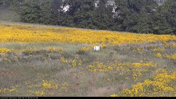 Cell 2 to 3_23-09-16_09-59-33-75