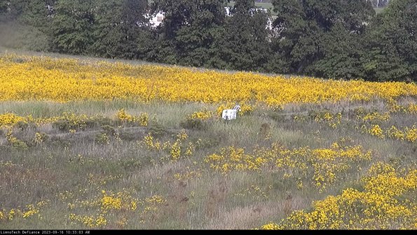 Cell 2 to 3_23-09-16_10-33-03-84