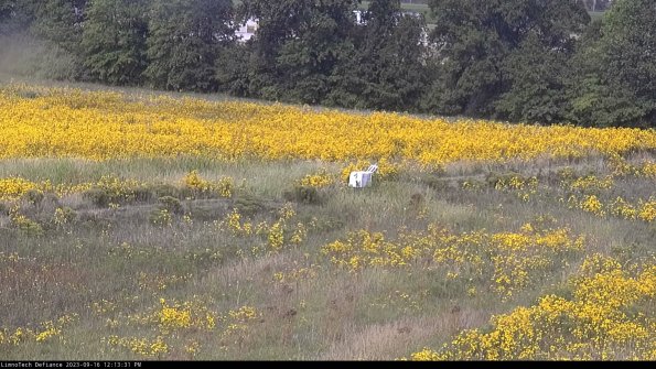 Cell 2 to 3_23-09-16_12-13-31-83