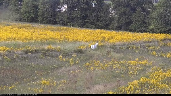 Cell 2 to 3_23-09-16_13-20-29-87