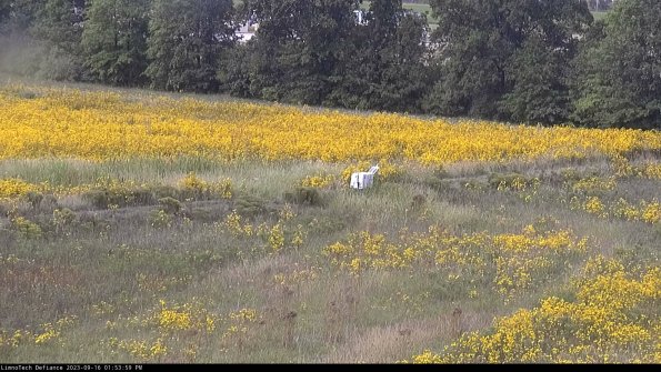 Cell 2 to 3_23-09-16_13-53-59-86