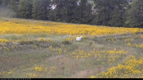 Cell 2 to 3_23-09-16_14-27-29-81