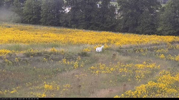 Cell 2 to 3_23-09-16_15-34-27-82