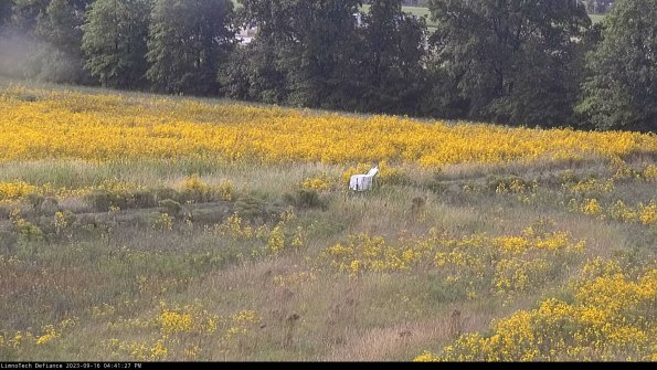 Cell 2 to 3_23-09-16_16-41-27-89