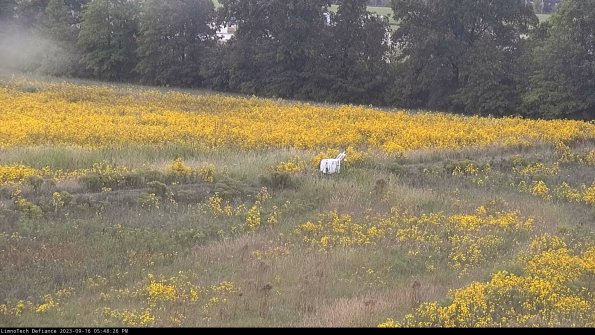 Cell 2 to 3_23-09-16_17-48-26-86