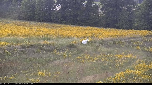 Cell 2 to 3_23-09-16_18-55-25-90