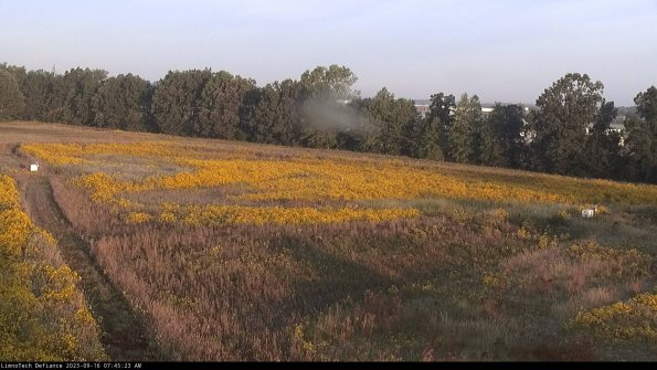 Cell 2_23-09-16_07-45-23-73