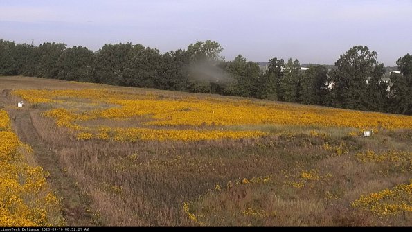 Cell 2_23-09-16_08-52-21-73