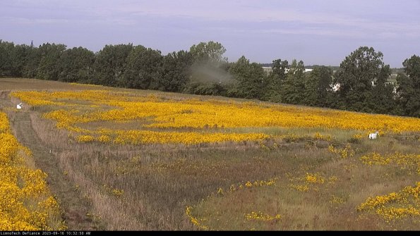 Cell 2_23-09-16_10-32-50-73