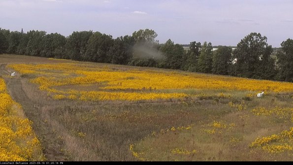 Cell 2_23-09-16_13-20-16-76