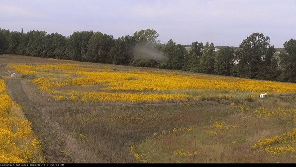 Cell 2_23-09-16_13-53-46-78