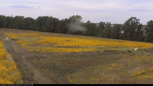 Cell 2_23-09-16_14-27-16-73