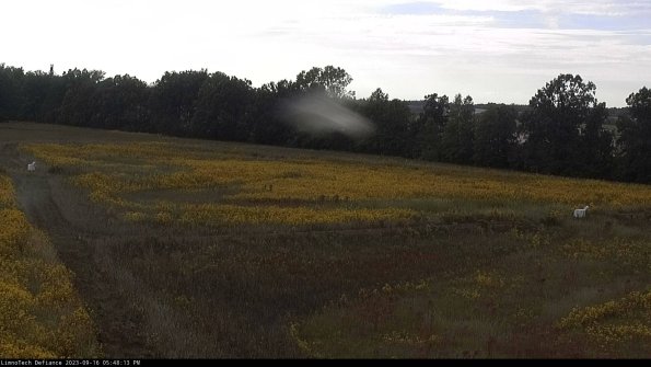 Cell 2_23-09-16_17-48-13-75