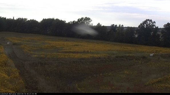 Cell 2_23-09-16_18-21-43-74