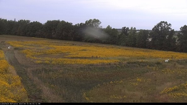 Cell 2_23-09-16_18-55-12-76