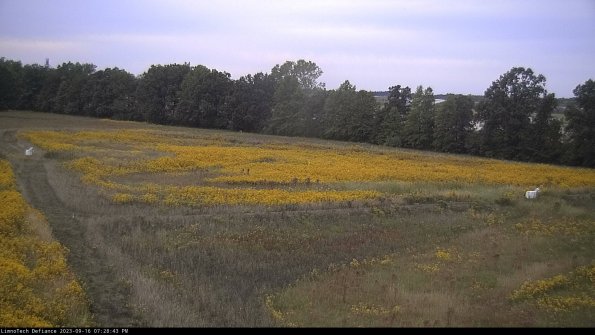 Cell 2_23-09-16_19-28-43-81