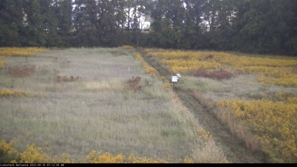 Cell 3 to 4_23-09-16_07-12-36-72