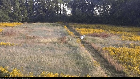 Cell 3 to 4_23-09-16_08-19-33-72