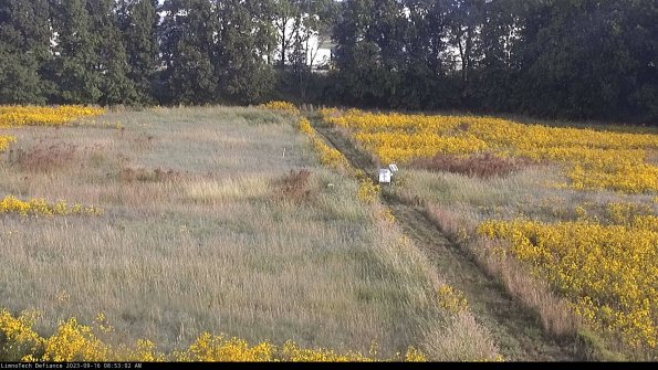 Cell 3 to 4_23-09-16_08-53-02-74