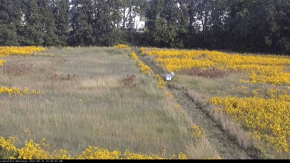 Cell 3 to 4_23-09-16_10-00-02-71