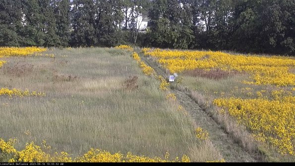 Cell 3 to 4_23-09-16_10-33-32-70