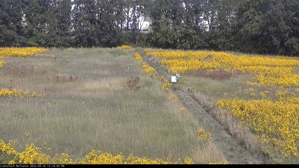 Cell 3 to 4_23-09-16_12-14-00-73