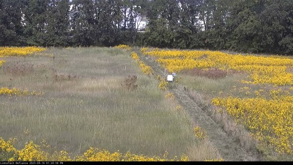 Cell 3 to 4_23-09-16_13-20-58-73