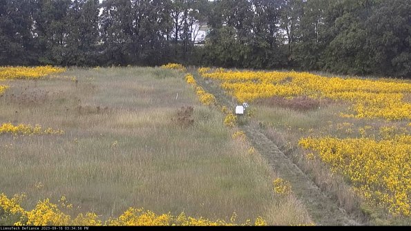 Cell 3 to 4_23-09-16_15-34-56-71