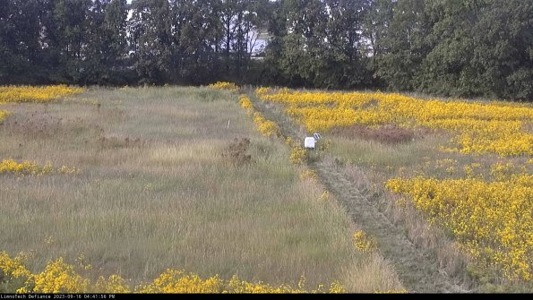 Cell 3 to 4_23-09-16_16-41-56-72