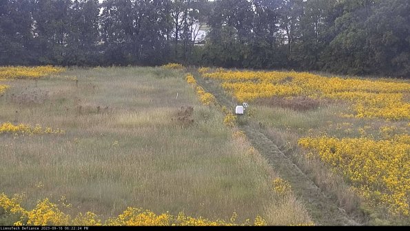 Cell 3 to 4_23-09-16_18-22-24-71