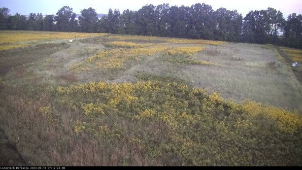 Cell 3_23-09-16_07-12-22-71