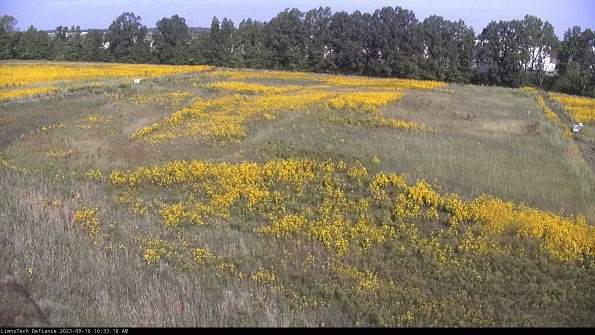 Cell 3_23-09-16_10-33-18-72