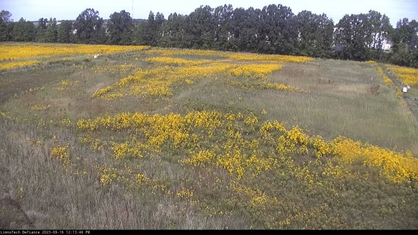 Cell 3_23-09-16_12-13-46-71