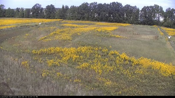 Cell 3_23-09-16_12-47-16-00