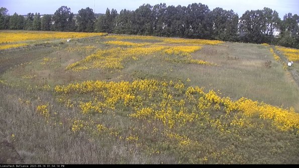 Cell 3_23-09-16_13-54-14-71